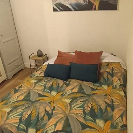 Apartament Maison A 20 Min De Paris Et Liaison Cdg